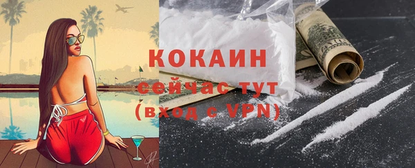 соль ск Абаза