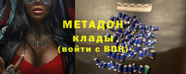 шишки Белая Холуница