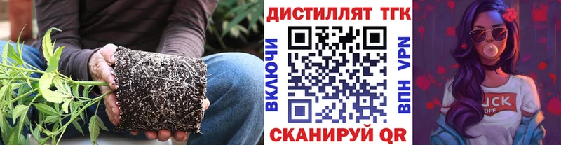 ТГК вейп  Калининград 