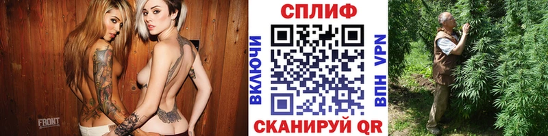 где продают   Калининград  МАРИХУАНА семена 
